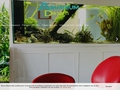 Aquarium Design : entretien d'aquarium à Dunkerque